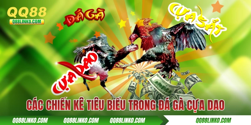 Đá Gà Cựa Dao - Hoà Vào Sự Kịch Tính Của Từng Cú Vung Cựa 3 Các chiến kê tiêu biểu trong đá gà cựa dao