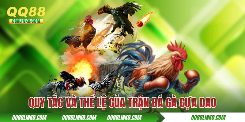 Đá Gà Cựa Dao - Hoà Vào Sự Kịch Tính Của Từng Cú Vung Cựa 4 Quy tắc và thể lệ của trận đá gà cựa dao chuyên nghiệp