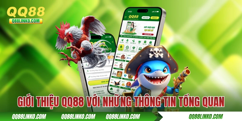 Giới thiệu QQ88 với những thông tin tổng quan