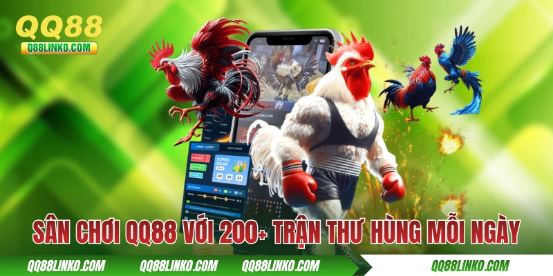 Sân chơi QQ88 với 200+ trận thư hùng mỗi ngày
