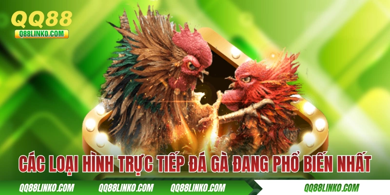Các loại hình trực tiếp đá gà đang phổ biến nhất